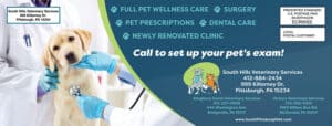 South Pittsburgh Vet Clinic Direct Mail by ethic advertising